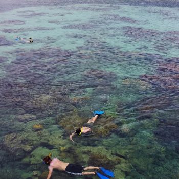Green Island Snorkelling